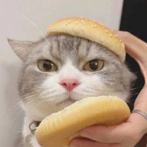 Meet your Posher, Karin